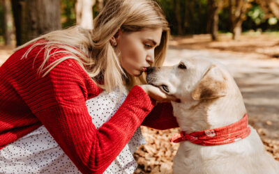 Voyance Chien : Comprendre les Messages de Votre Meilleur Ami